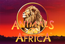 Animals of Africa�